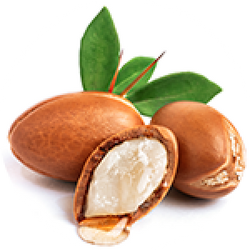 Shea Butter